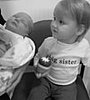 Introducing Siblings