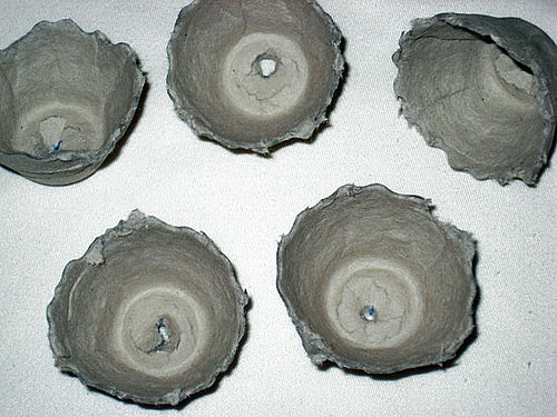 Egg Crates with Holes Cut in the Bottom Egg Crates with Holes Cut in the Bottom
