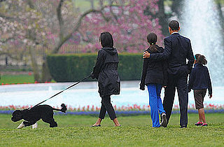 Who's in Charge of the Pets: Mom or Kids?