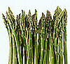 Asparagus Baby