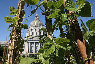 10 Ways the Stimulus Package Is Funding Eco Projects