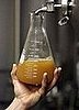 Jimmy Carter's Unintentional Legacy: Beer Making