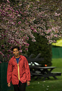 Michelle Obama Plants White House Garden (Pictures)