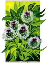 Burdock Root 