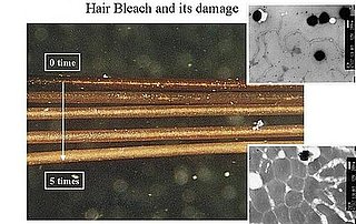 Environmentally Friendly Hair Dye