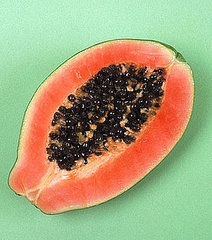 Papaya in Beauty