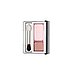 Clinique Pair of Shades Eye Shadow