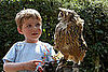 Retro Owl Themed Nursery Decor