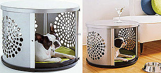 Win a BowHaus Modern Dog Den!