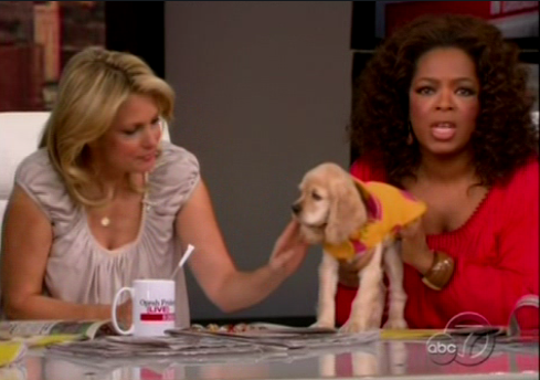 Oprah's New Pup, Sadie Oprah's New Pup, Sadie