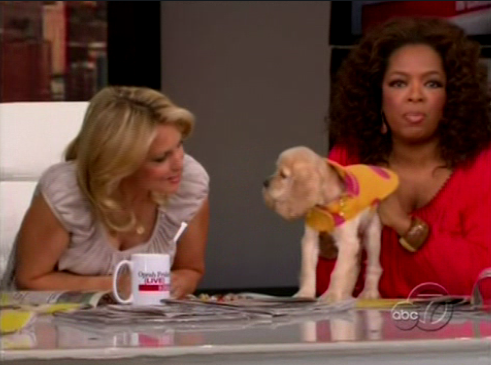 Oprah's New Pup, Sadie Oprah's New Pup, Sadie