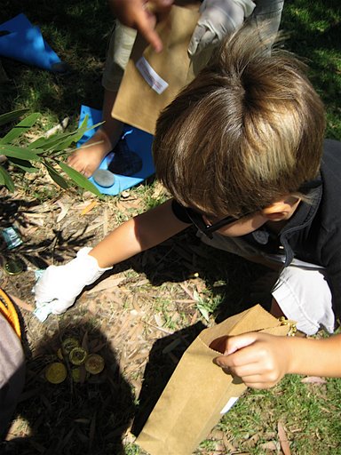 Crime Scene Investigation 
