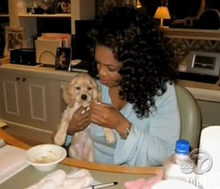 One of Oprah’s Dogs Killed by Virus, Sadie Seeking Treatment