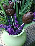 Delilicious: Easy to Make Chocolate Easter Lollipops