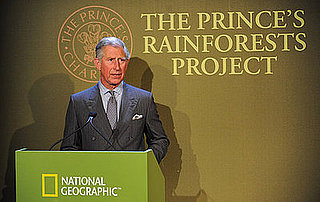 Watch Prince Charles's Rainforest Campaign Video Starring Prince William, Prince Harry, Daniel Craig, Harrison Ford Et Al