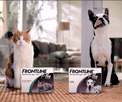 One Week Left to Win a Prize Pack For Your Pet!