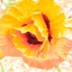 Valley Natural's picture