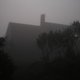 Henry Gray's picture