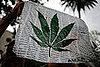 Marijuana Supporters Think Legalization Is Coming