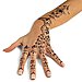 About Indian Henna