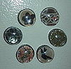 DIY: Glass Découpage Magnets