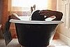 Do You Keep Magazines in Your Bathroom?