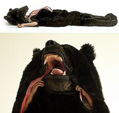Love It or Hate It? Great Sleeping Bear