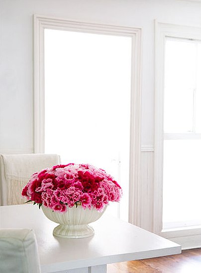 How-To: Help Carnations Make a Comeback How-To: Help Carnations Make a Comeback