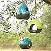 Do You Have a Bird Feeder?