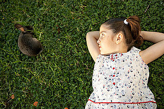 Casa Verde: Add Clover to Your Lawn