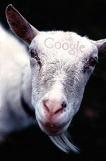 Casa Verde: Google Rents Goats For Lawn Mowing Alternative
