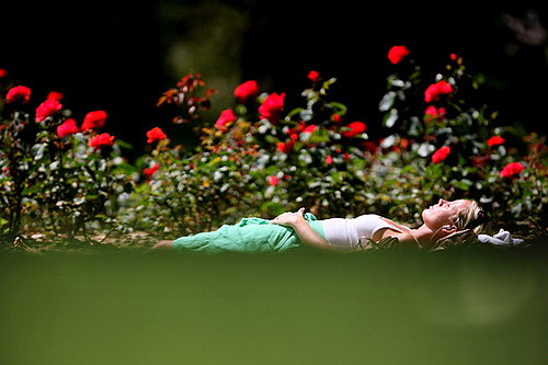 Do You Nap in Your Backyard?