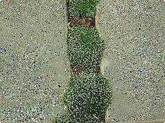 DIY: Concrete Garden Steps With Glass DIY: Concrete Garden Steps With Glass