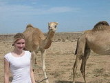 we we're driving along the highway and saw these camels.  good thing they didn't bite.