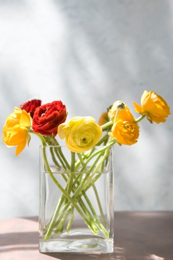 How to Keep your Flowers Fresh
