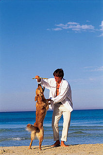 The How-To Lounge: Stopping Your Dog From Jumping On You!