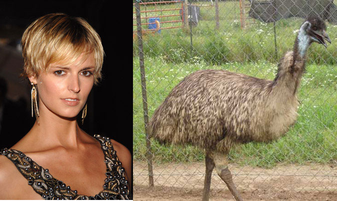 Jacquetta-Emu Jacquetta-Emu