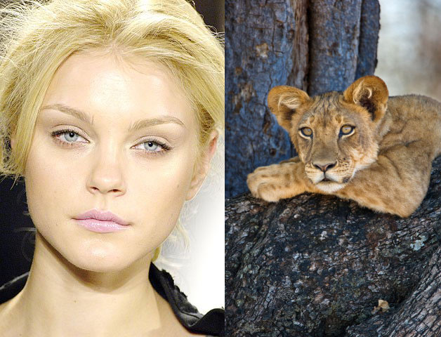 Models That Look Like . . . Animals? Models That Look Like . . . Animals?