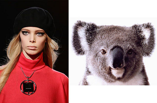 Tanya-D-Koala Tanya-D-Koala