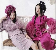What Kind of Model Would You Want to Be? 