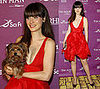 Celebrity Style: Zooey Deschanel 