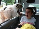 Create The Caption