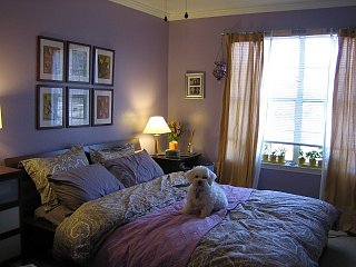 My "college" condo for Show Off Your Casa!
