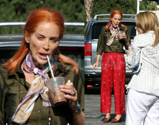 Sharon Stone Looks Ill