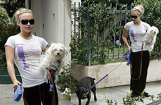 Are Milo And Hayden Really Dating?