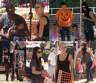 Celebrity Pumpkin Patch Fun!