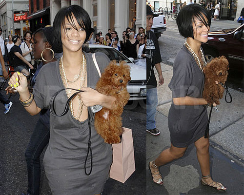 American Music Award Noms Announced, Rih Nabs One