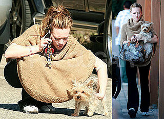 Hilary and Her Hopefully Not Sick Puppy
