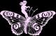 Butrfly4404
