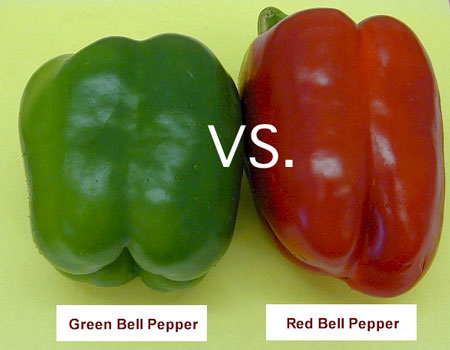 Red Pepper vs. Green Pepper